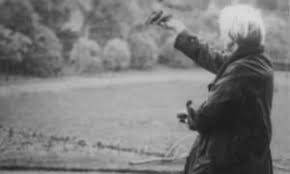 violetfeedingthebirds